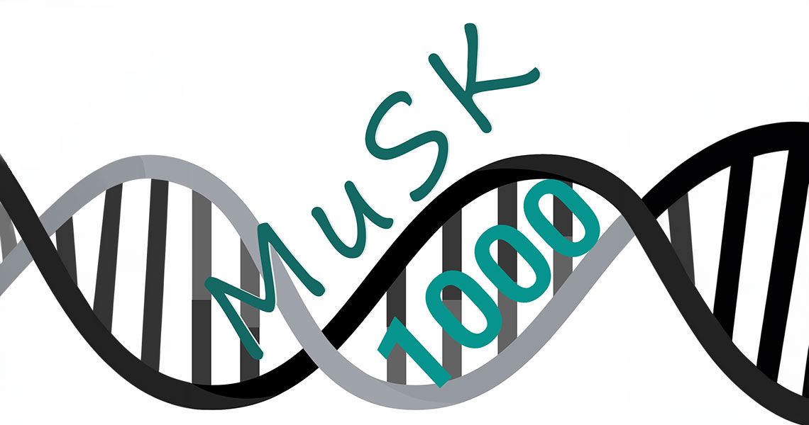 DNA strand containing the words 'MuSK 1000'